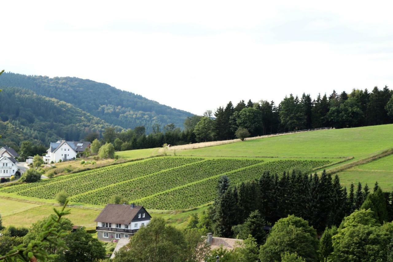 Hotel Gretel Von Birne Winterberg Esterno foto